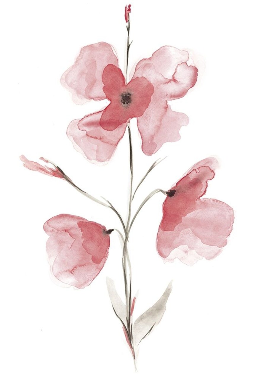 Love In Bordeaux Ii Poster Print by Corrie Golden - Item # VARPDX50143